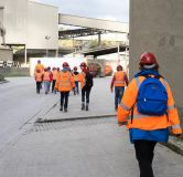 Towards the packing plant