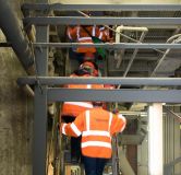 Entering the packing plant